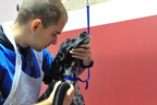 ambulanta veterinara Tazy Vet - caine cocker in frizerie